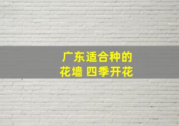 广东适合种的花墙 四季开花